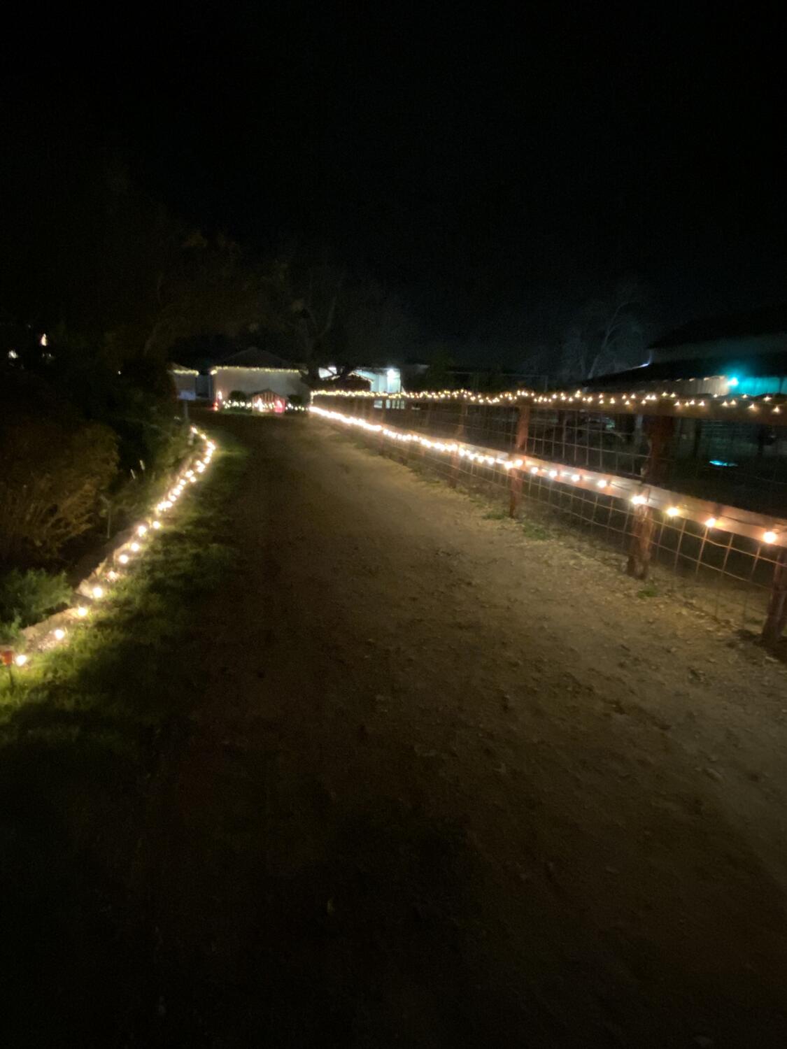 A long lighted path and fence line leading through the farm at night