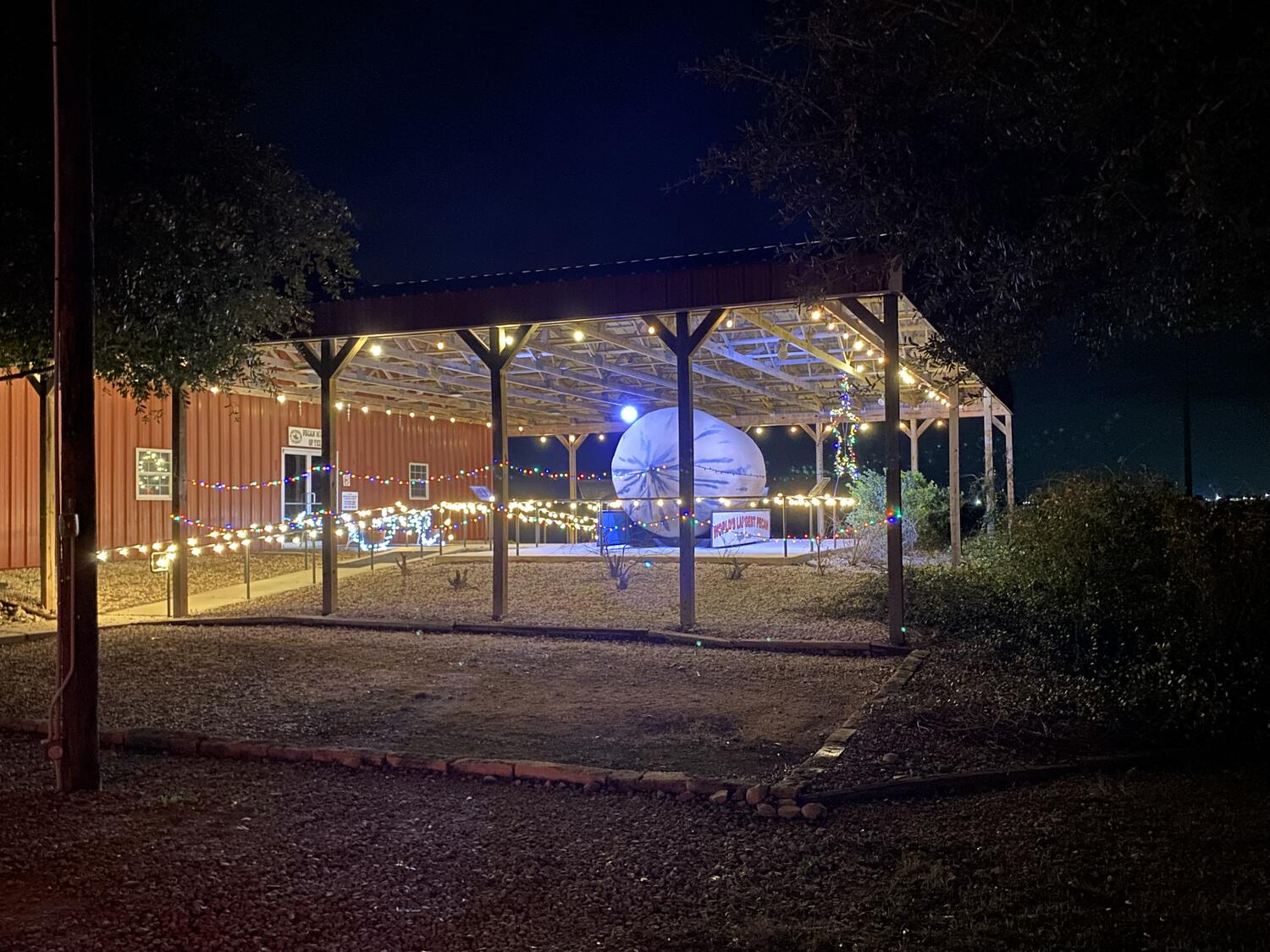 The World's Largest Pecan under its pavilion, strung with Christmas lights