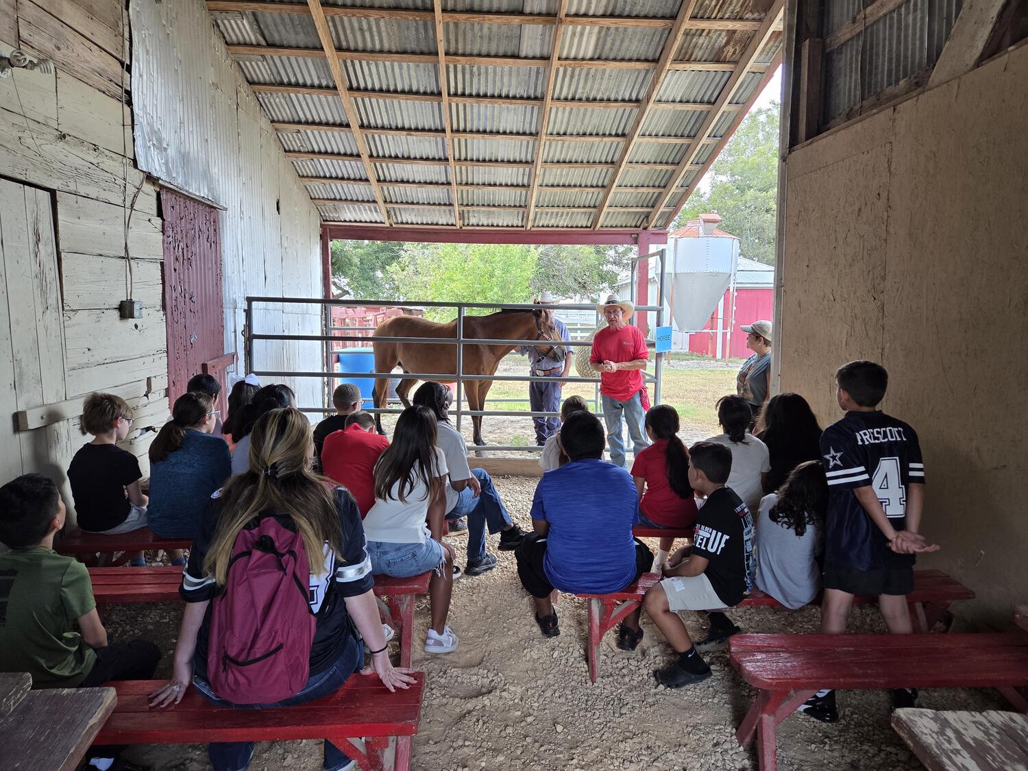 Students watching a horse at the rail during a field trip