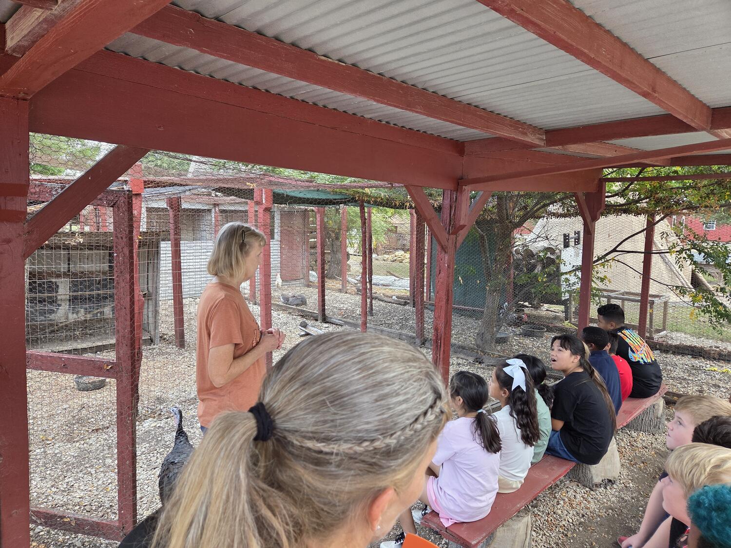 A class listening in the poultry yard with a turkey nearby